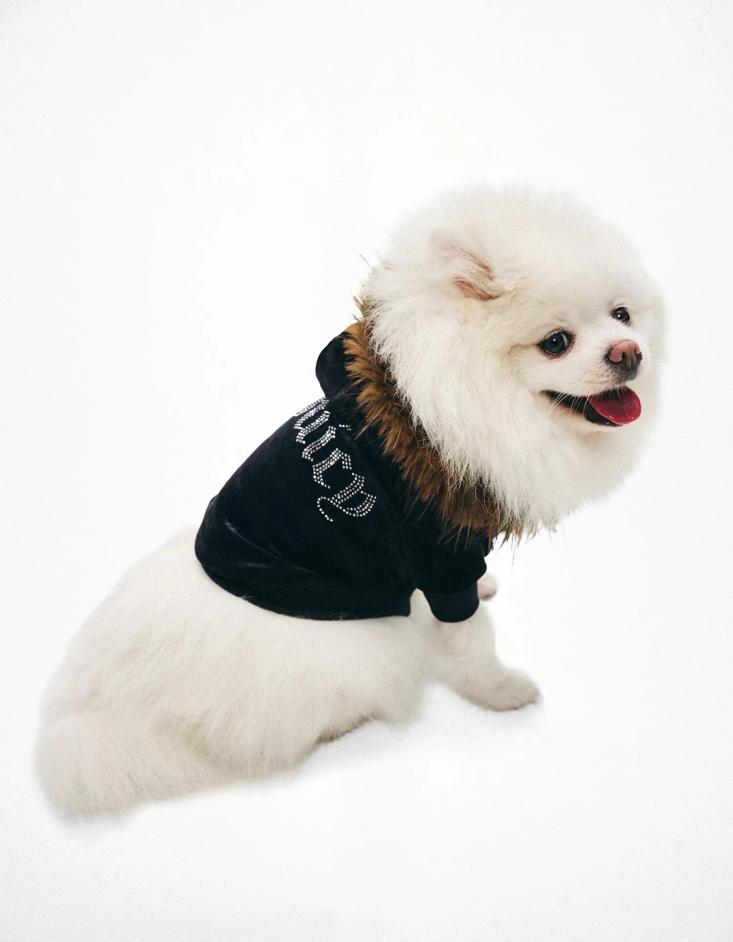 Moletom Pet Juicy Couture com Capuz